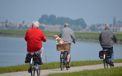 Principales reformas del sistema de pensiones de jubilación