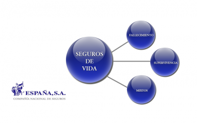 Tipos de Seguro de Vida